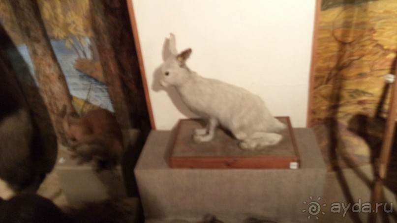 Петропавловск-Камчатский: Камчатский краеведческий музей