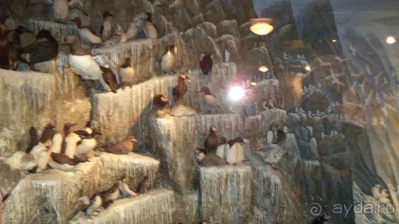 Петропавловск-Камчатский: Камчатский краеведческий музей