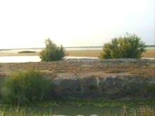 Арль и Камарг 