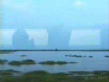 Арль и Камарг 