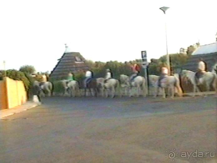 Арль и Камарг 