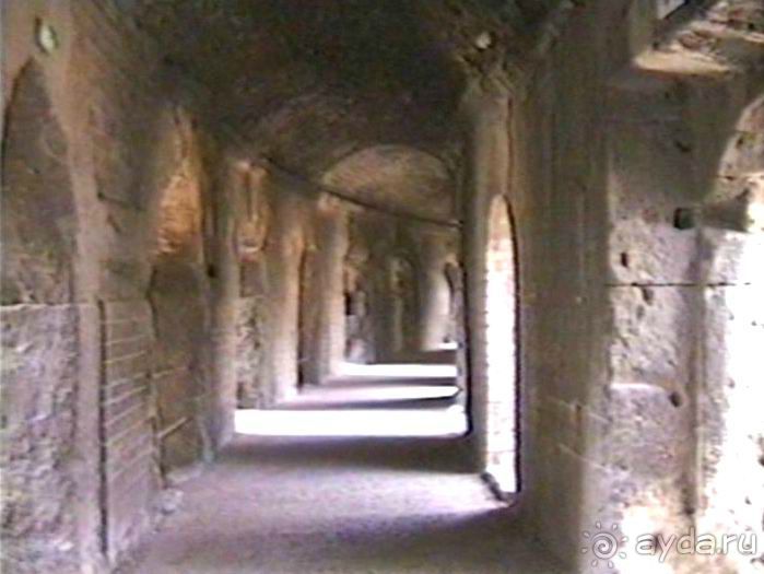 Арль и Камарг 