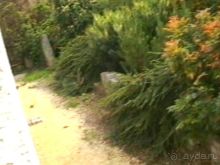 Четвертая поездка в Германию на автомобиле с немецкой овчаркой. Часть 2. Берлин, Лейпциг и Лютцен