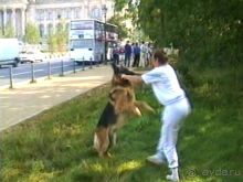 Четвертая поездка в Германию на автомобиле с немецкой овчаркой. Часть 2. Берлин, Лейпциг и Лютцен