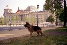 Четвертая поездка в Германию на автомобиле с немецкой овчаркой. Часть 2. Берлин, Лейпциг и Лютцен