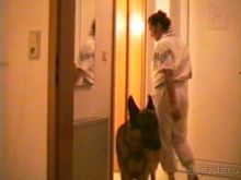 Четвертая поездка в Германию на автомобиле с немецкой овчаркой. Часть 2. Берлин, Лейпциг и Лютцен