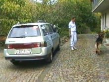 Четвертая поездка в Германию на автомобиле с немецкой овчаркой. Часть 2. Берлин, Лейпциг и Лютцен