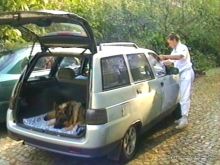 Четвертая поездка в Германию на автомобиле с немецкой овчаркой. Часть 2. Берлин, Лейпциг и Лютцен