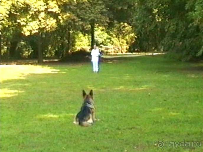 Четвертая поездка в Германию на автомобиле с немецкой овчаркой. Часть 2. Берлин, Лейпциг и Лютцен