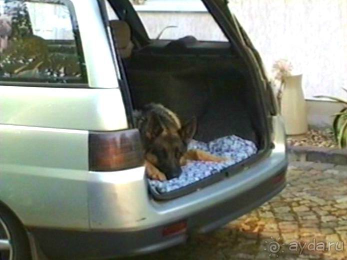 Четвертая поездка в Германию на автомобиле с немецкой овчаркой. Часть 2. Берлин, Лейпциг и Лютцен