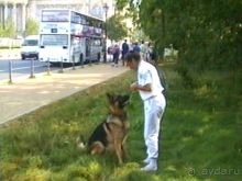 Четвертая поездка в Германию на автомобиле с немецкой овчаркой. Часть 2. Берлин, Лейпциг и Лютцен