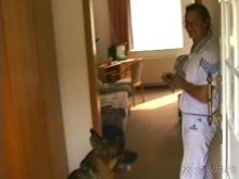 Четвертая поездка в Германию на автомобиле с немецкой овчаркой. Часть 2. Берлин, Лейпциг и Лютцен