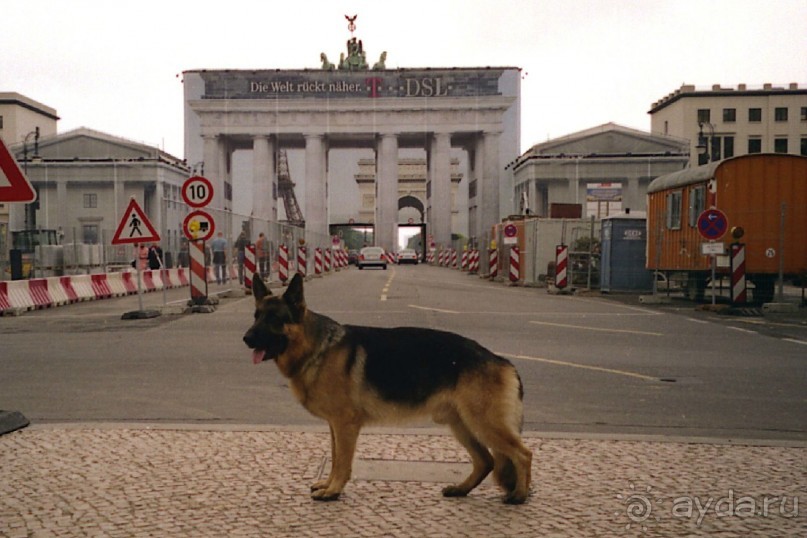 Четвертая поездка в Германию на автомобиле с немецкой овчаркой. Часть 2. Берлин, Лейпциг и Лютцен
