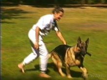 Четвертая поездка в Германию на автомобиле с немецкой овчаркой. Часть 2. Берлин, Лейпциг и Лютцен