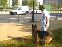 Четвертая поездка в Германию на автомобиле с немецкой овчаркой. Часть 2. Берлин, Лейпциг и Лютцен