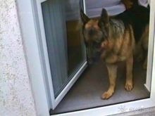 Четвертая поездка в Германию на автомобиле с немецкой овчаркой. Часть 2. Берлин, Лейпциг и Лютцен