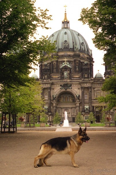 Четвертая поездка в Германию на автомобиле с немецкой овчаркой. Часть 2. Берлин, Лейпциг и Лютцен