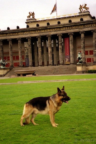 Четвертая поездка в Германию на автомобиле с немецкой овчаркой. Часть 2. Берлин, Лейпциг и Лютцен