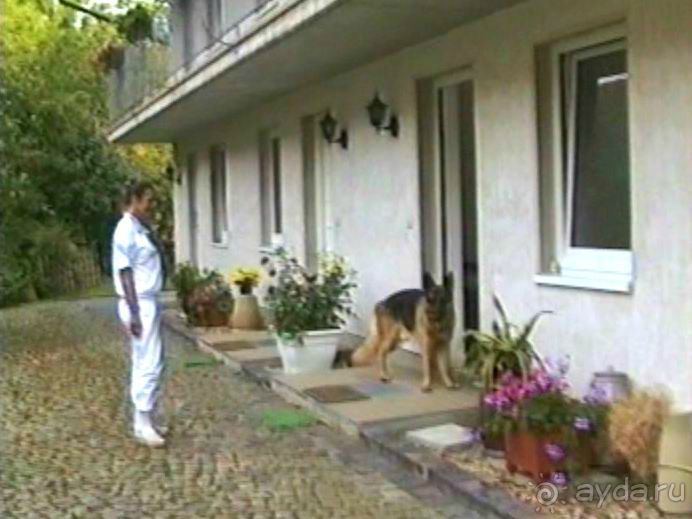 Четвертая поездка в Германию на автомобиле с немецкой овчаркой. Часть 2. Берлин, Лейпциг и Лютцен