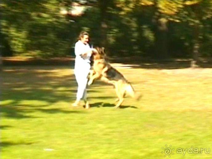 Четвертая поездка в Германию на автомобиле с немецкой овчаркой. Часть 2. Берлин, Лейпциг и Лютцен