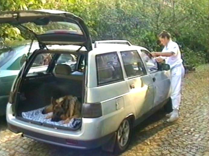 Четвертая поездка в Германию на автомобиле с немецкой овчаркой. Часть 2. Берлин, Лейпциг и Лютцен