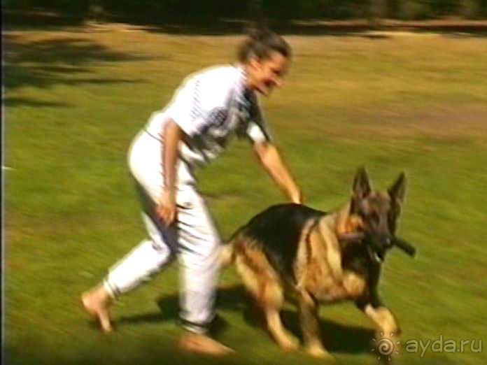 Четвертая поездка в Германию на автомобиле с немецкой овчаркой. Часть 2. Берлин, Лейпциг и Лютцен