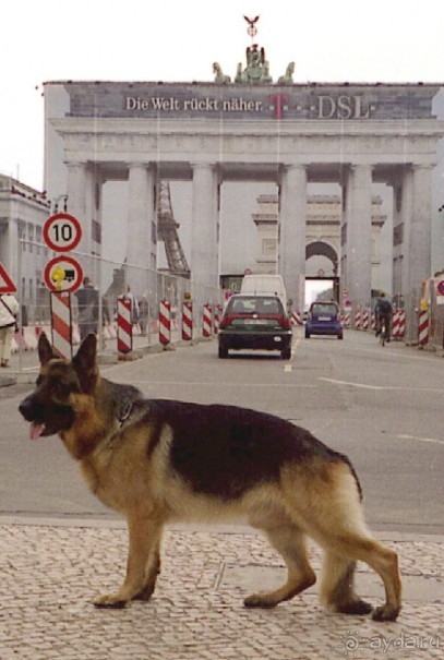 Четвертая поездка в Германию на автомобиле с немецкой овчаркой. Часть 2. Берлин, Лейпциг и Лютцен