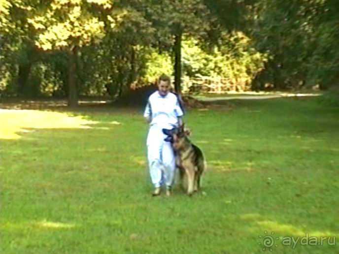 Четвертая поездка в Германию на автомобиле с немецкой овчаркой. Часть 2. Берлин, Лейпциг и Лютцен