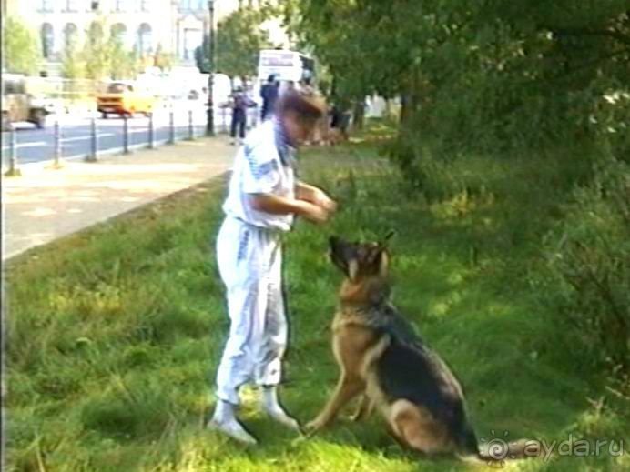 Четвертая поездка в Германию на автомобиле с немецкой овчаркой. Часть 2. Берлин, Лейпциг и Лютцен