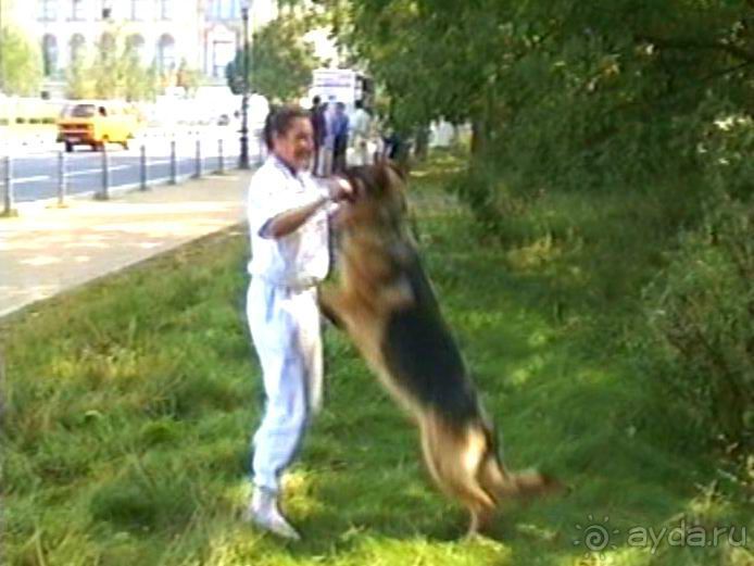 Четвертая поездка в Германию на автомобиле с немецкой овчаркой. Часть 2. Берлин, Лейпциг и Лютцен
