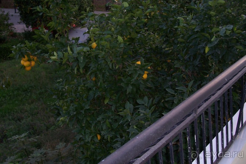 Греция часть 9: Не древняя - современная Олимпия