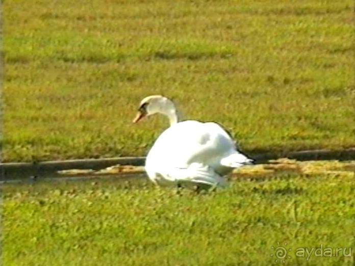 Версаль-Фонтенбло-Сент-Женевьев-де-Буа