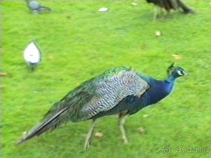 Версаль-Фонтенбло-Сент-Женевьев-де-Буа