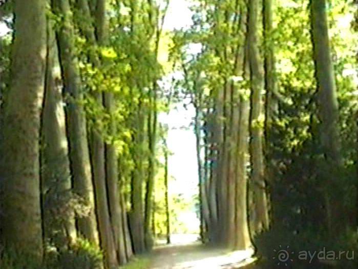 Версаль-Фонтенбло-Сент-Женевьев-де-Буа