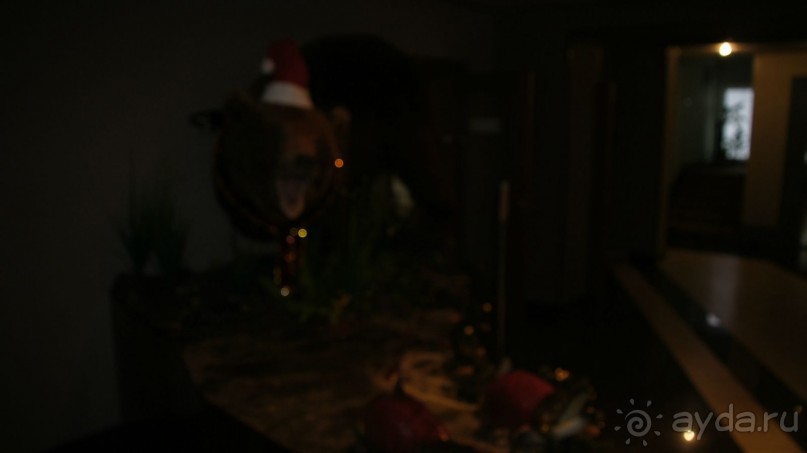 Отель Бел-Кам-Тур в Паратунке