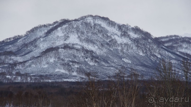 Отель Бел-Кам-Тур в Паратунке