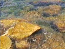 Неаполь и Капри