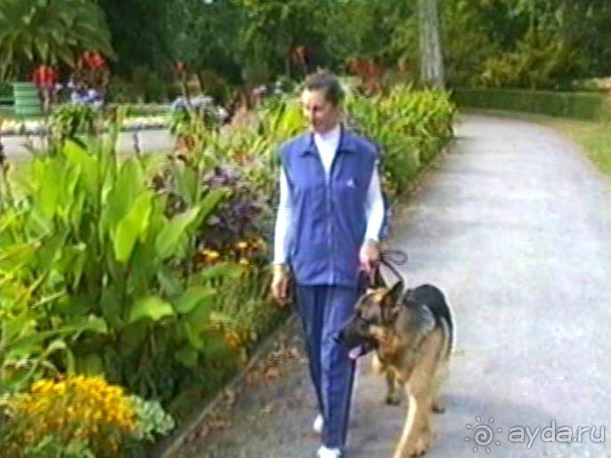 Потсдам: Цецилиенхоф