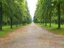 Потсдам: Цецилиенхоф