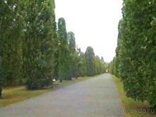 Потсдам: Цецилиенхоф