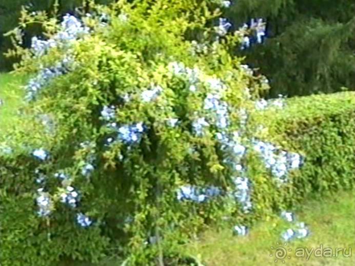 Потсдам: Цецилиенхоф