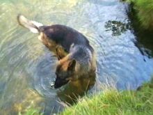 Потсдам: Цецилиенхоф