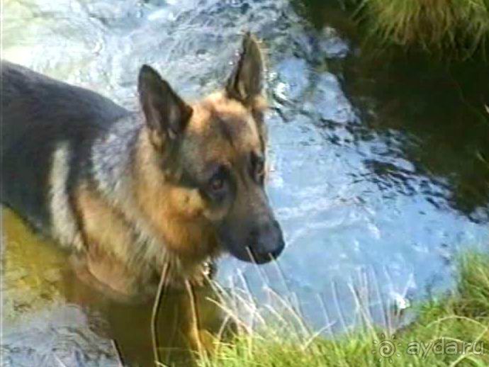 Потсдам: Цецилиенхоф