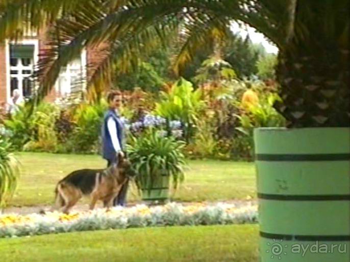 Потсдам: Цецилиенхоф