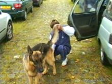 Зигер в Дюссельдорфе: Наш самый черный день…