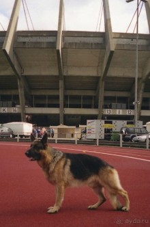 Зигер в Дюссельдорфе: Наш самый черный день…