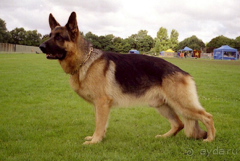 Зигер в Дюссельдорфе: Наш самый черный день…