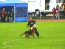 Зигер в Дюссельдорфе: Наш самый черный день…