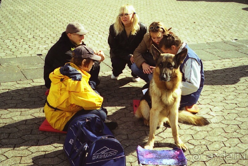 Зигер в Дюссельдорфе: Наш самый черный день…