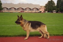 Зигер в Дюссельдорфе: Наш самый черный день…